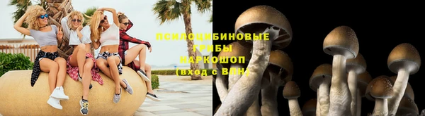 каннабис Богданович