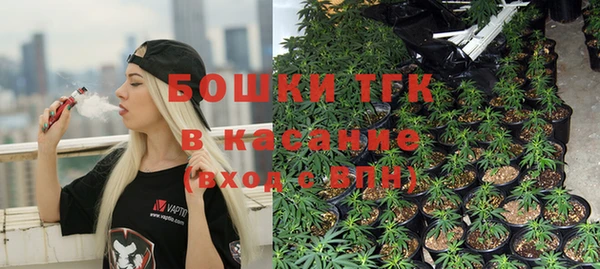 крисы Богородск