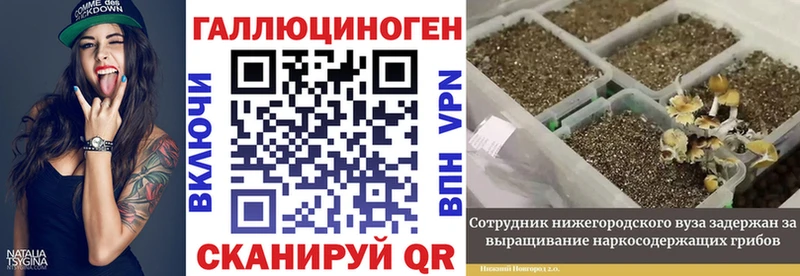 Галлюциногенные грибы Cubensis наркошоп Трёхгорный